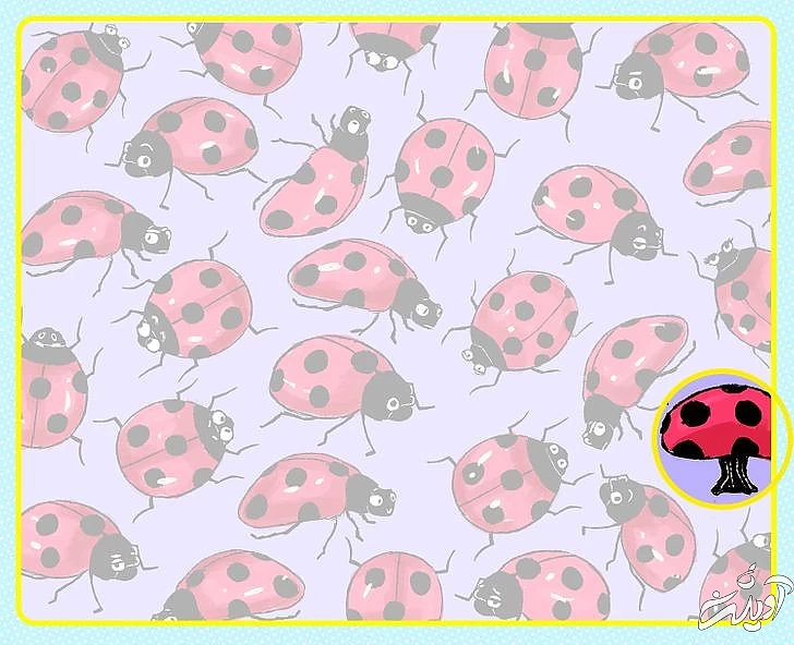 چند معمای تصویری برای آنهایی که توجه و دقت زیادی دارند